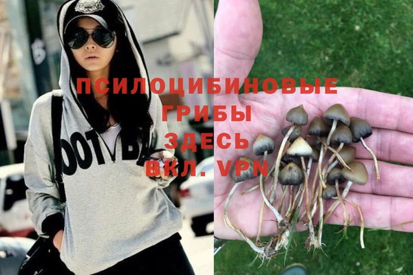 apvp Абдулино